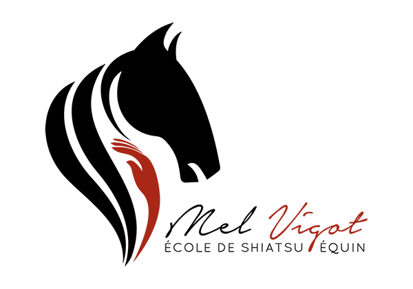 Mélanie Vigot, Shiatsu équin & humain