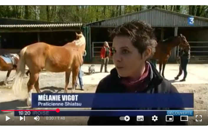 melanie-vigot-shiatsu-equin melanie-vigot-shiatsu-equin