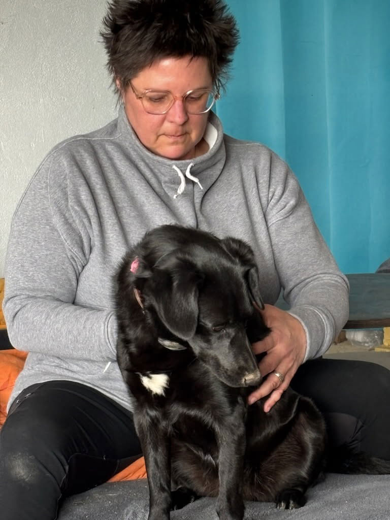 Shiatsu canin et félin Shiatsu canin et félin
