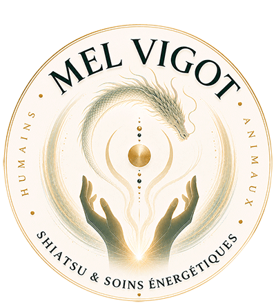 Mélanie Vigot, Shiatsu équin & humain
